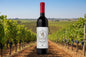 Judean Heights Cabernet Sauvignon