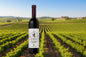 Judean Heights Cabernet Franc